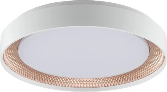Brilliant - dimmelhető LED mennyezeti lámpatest WALDO LED/24W/230V fehér/rózsaarany + távirányító