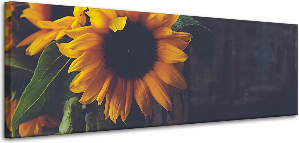 Vászonkép Virág Napraforgó Vintage 120x40