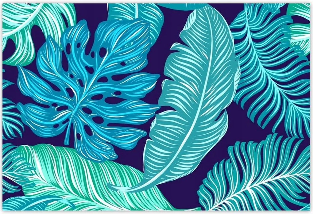 Poszterek 200x135 Levelek Monstery Trópusok