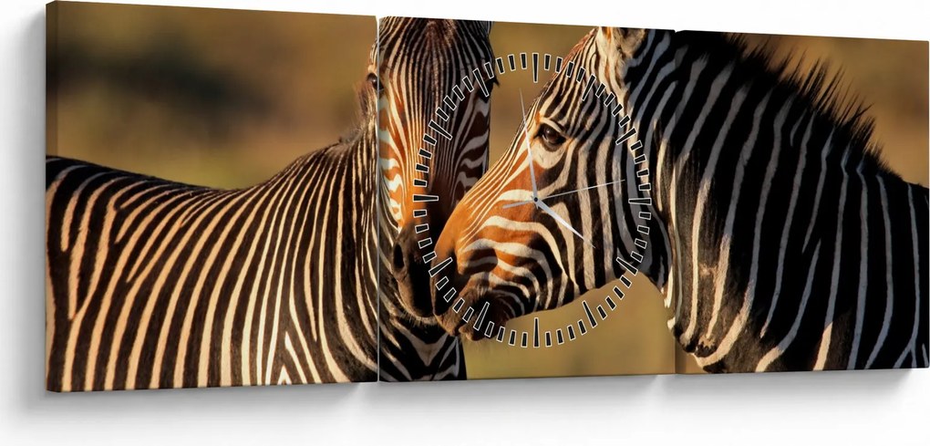 Kép - Két zebra (órával) (90x30 cm)