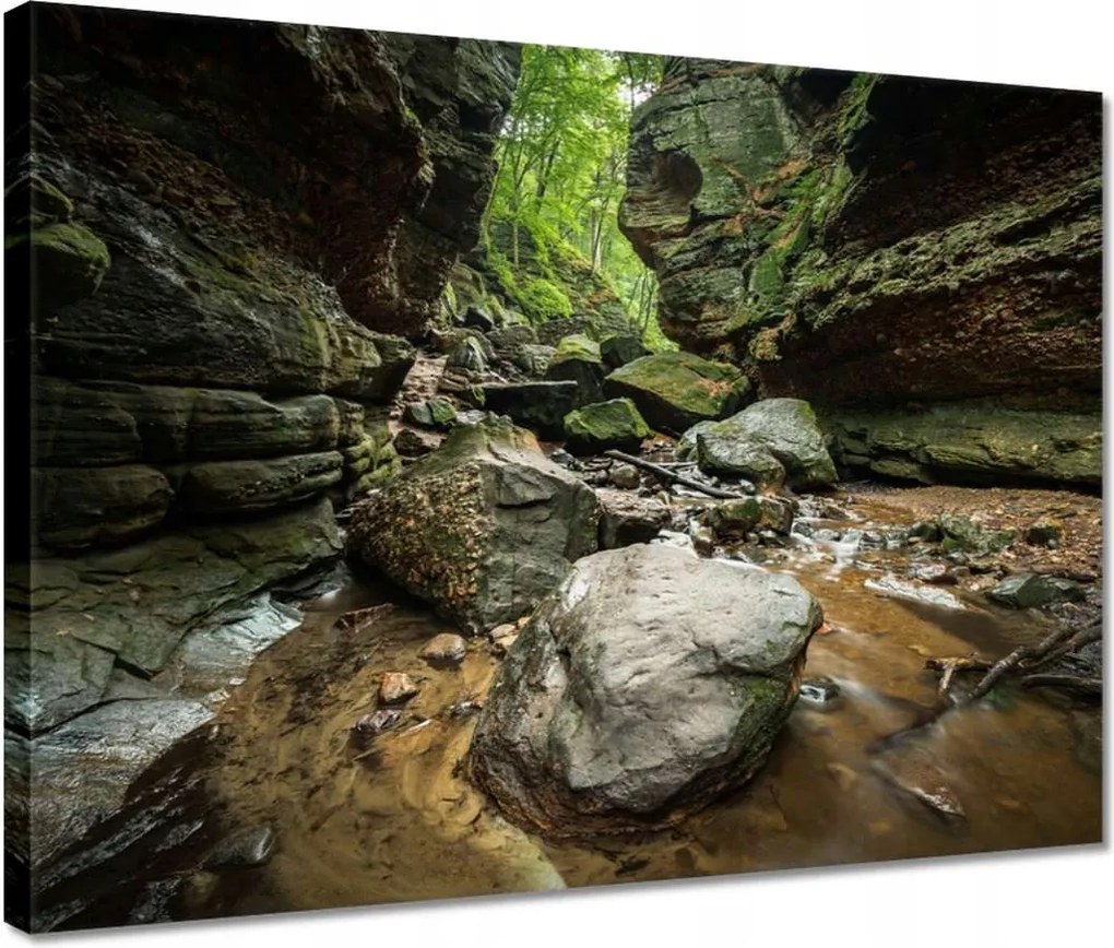 Vászonkép 40x30 Sziklák Folyó Hegyek