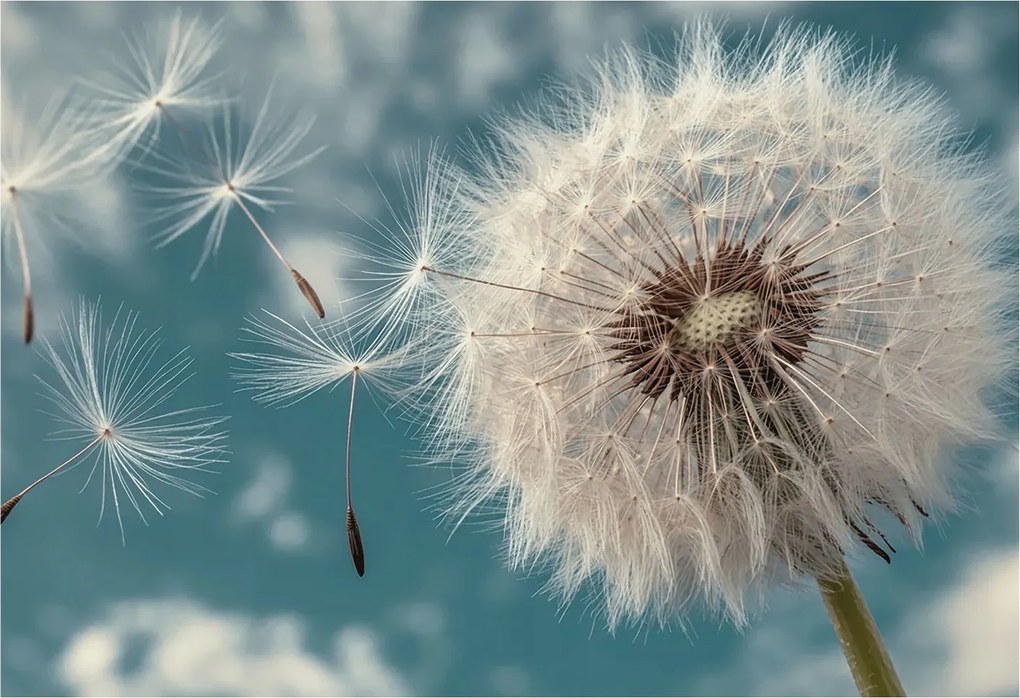 Fotótapéta Flizelin az Otthon szobájába 3D Könnyű éteriség 152x104 Ragasztó