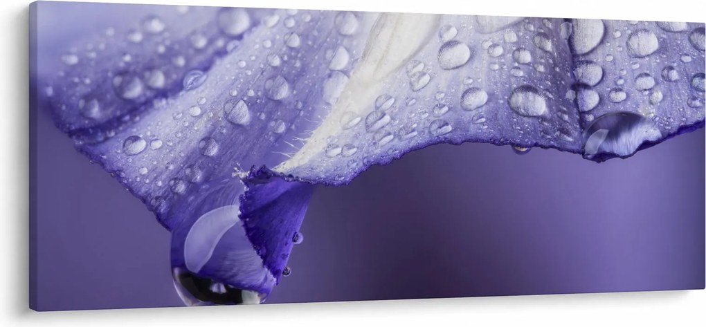 Kép - Szirom cseppekkel (120x50 cm)