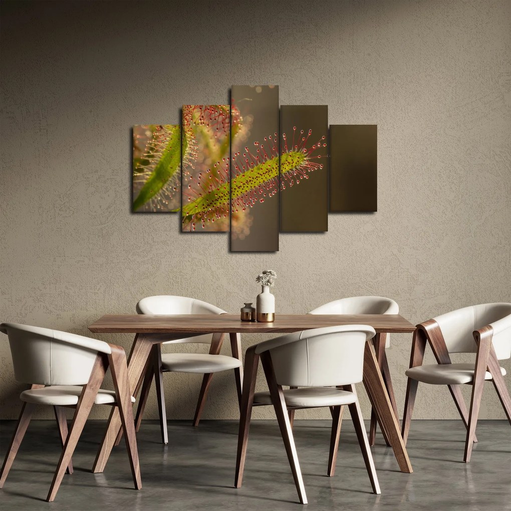 A növény képe (150x105 cm)