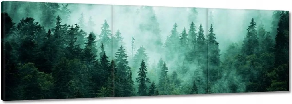 Vászonkép 150x50 Erdő Köd Tájkép Utazás