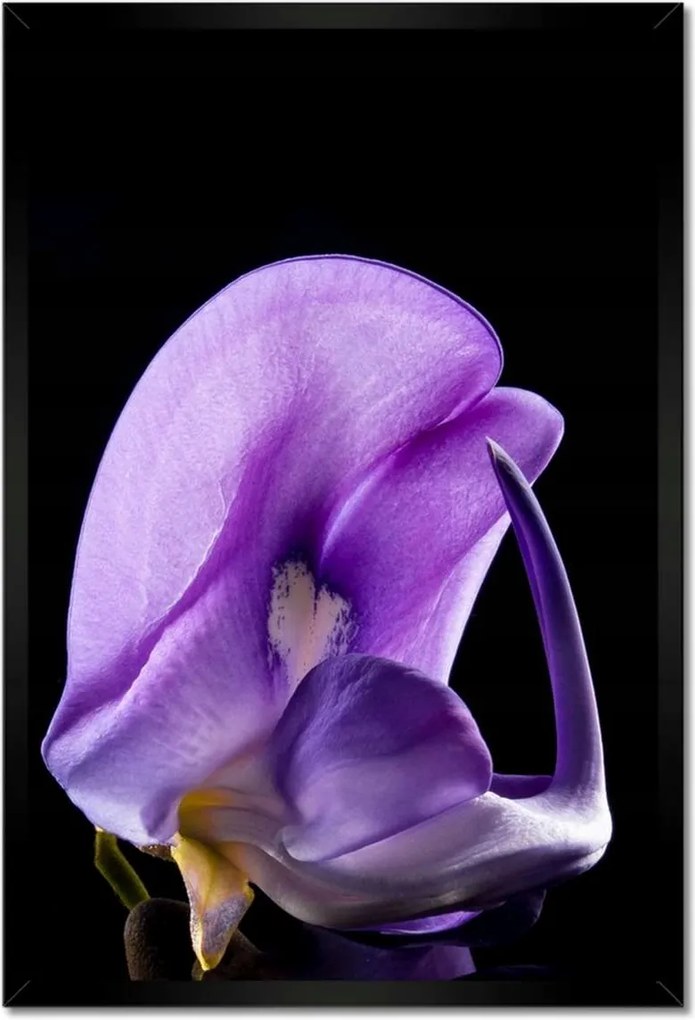 Poszterek keretben 40x60 Nőnap Ajándék Love