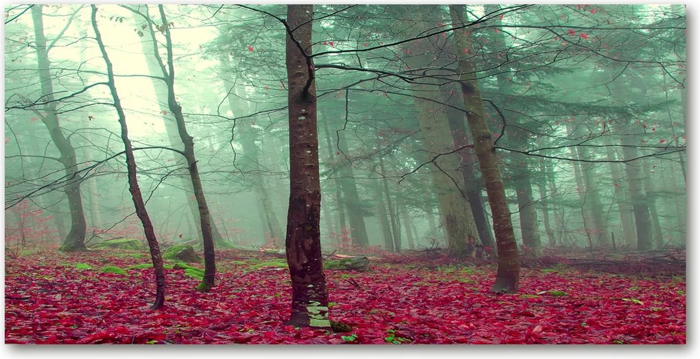 Fotótapéta üvegfalra Őszi levelek 140x70