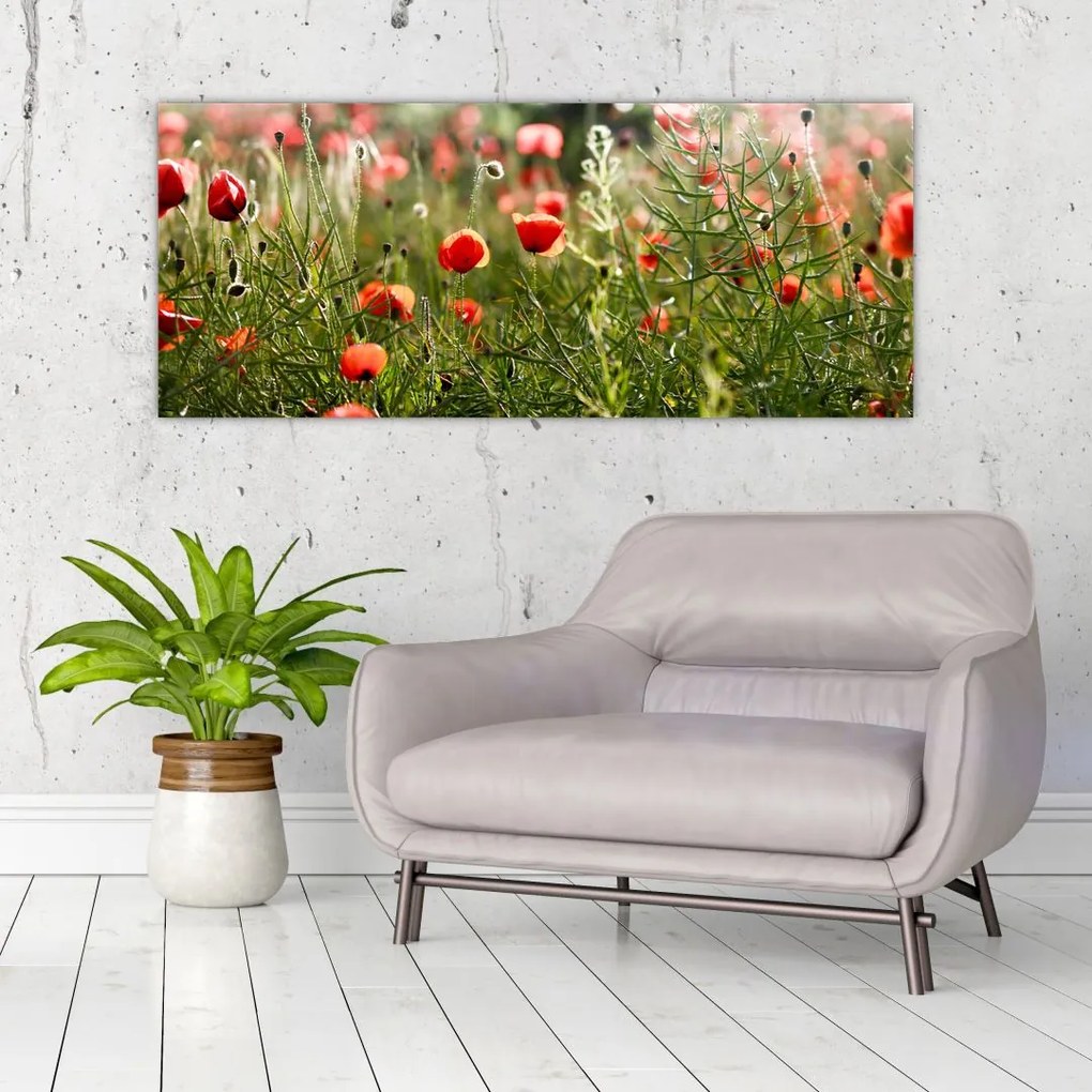 Pipacsok képe (120x50 cm)