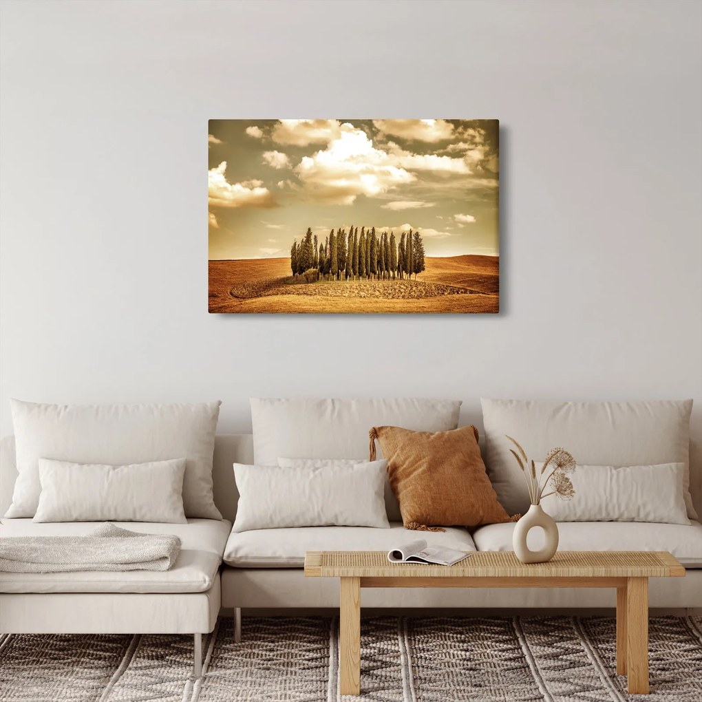 A Tisztás képe (90x60 cm)