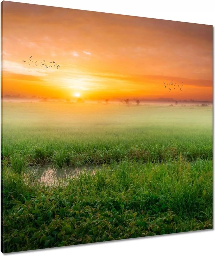 Vászonkép 80x80 Napfelkelte Ébredés