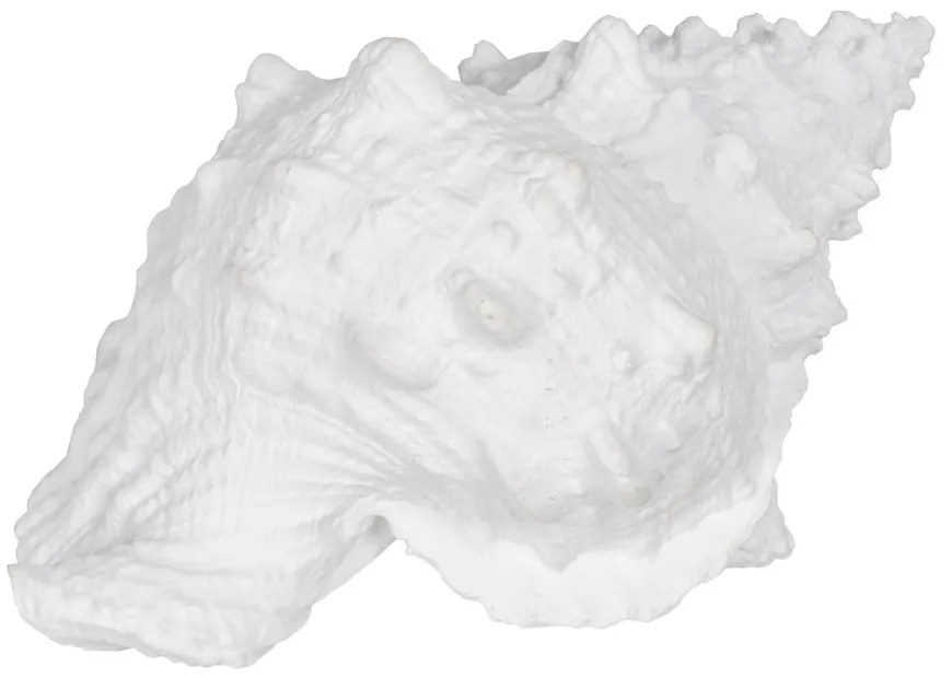 Poligyanta szobor (magasság 12 cm) Seashell – Ixia
