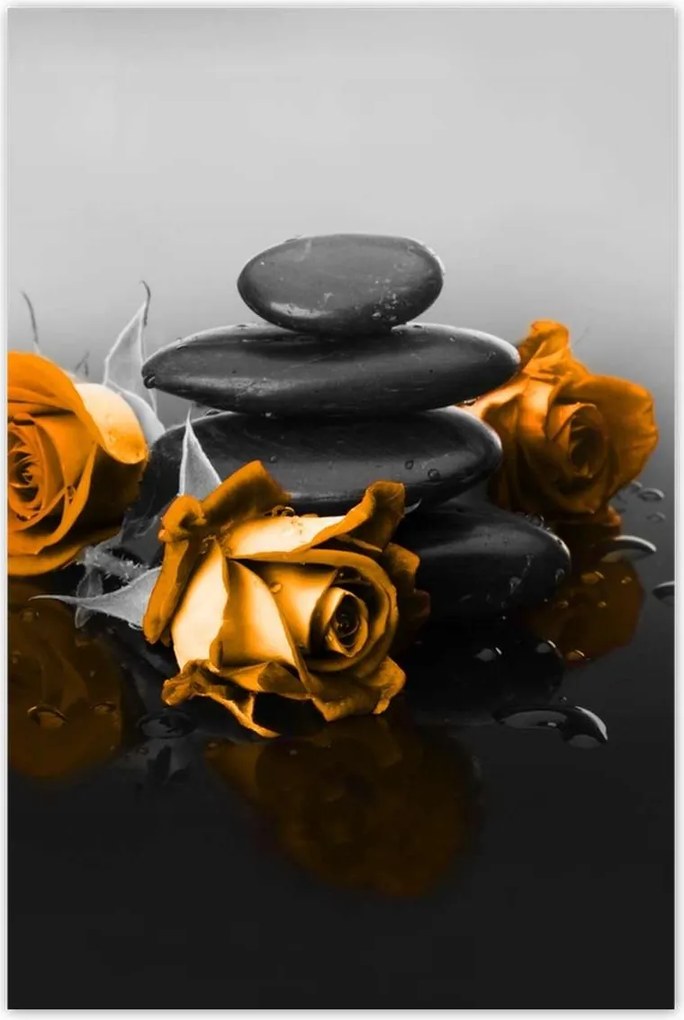 Poszterek 80x120 Narancssárga rózsa Spa