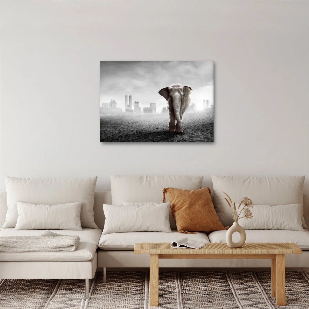 Kép -Elefánt egy nagyvárosban, fekete-fehér változat (70x50 cm)