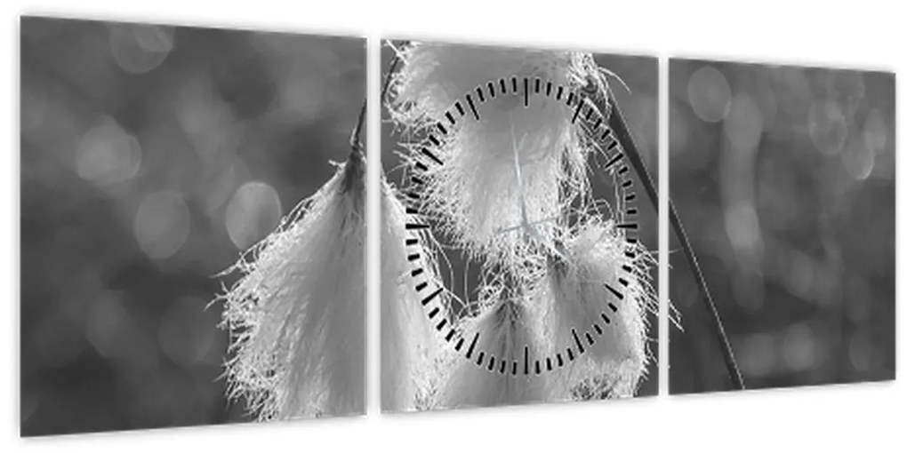 Kép - Cottongrass (órával) (90x30 cm)