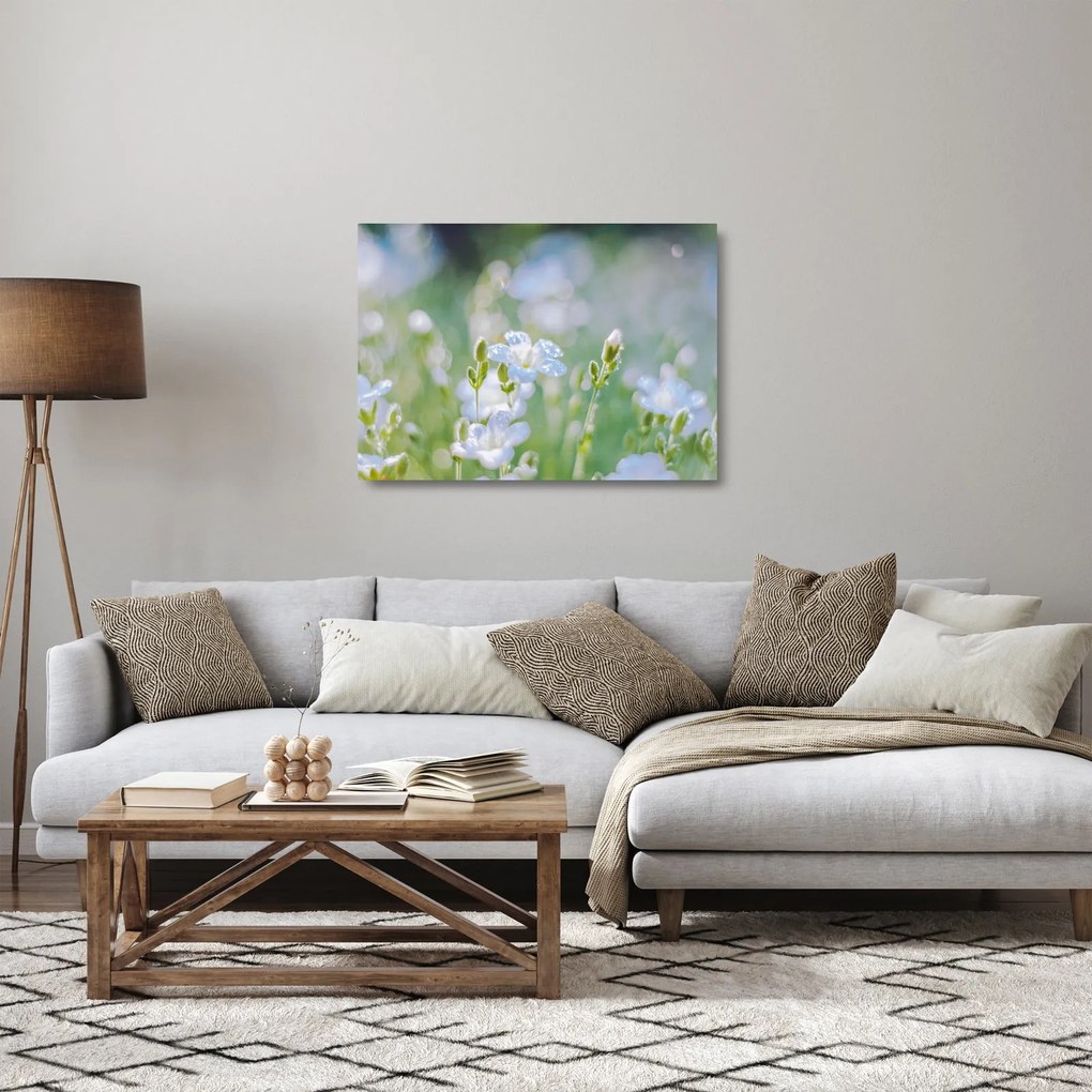 Üveg kép - Finom virágok (70x50 cm)