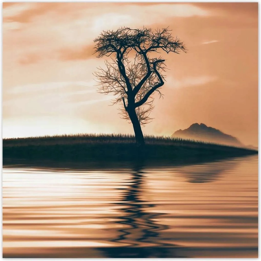 Poszterek 140x140 Fa a szigeten