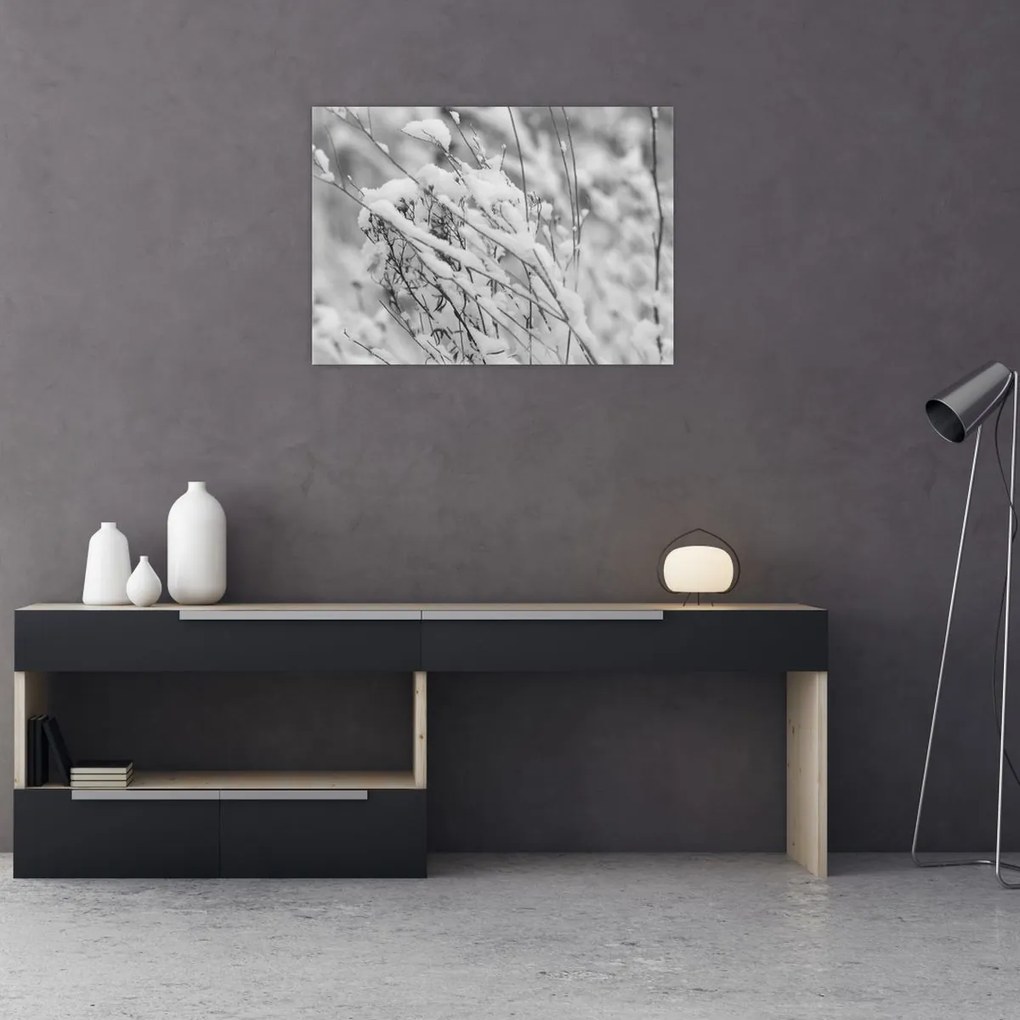Üveg kép - Havas ágak (70x50 cm)