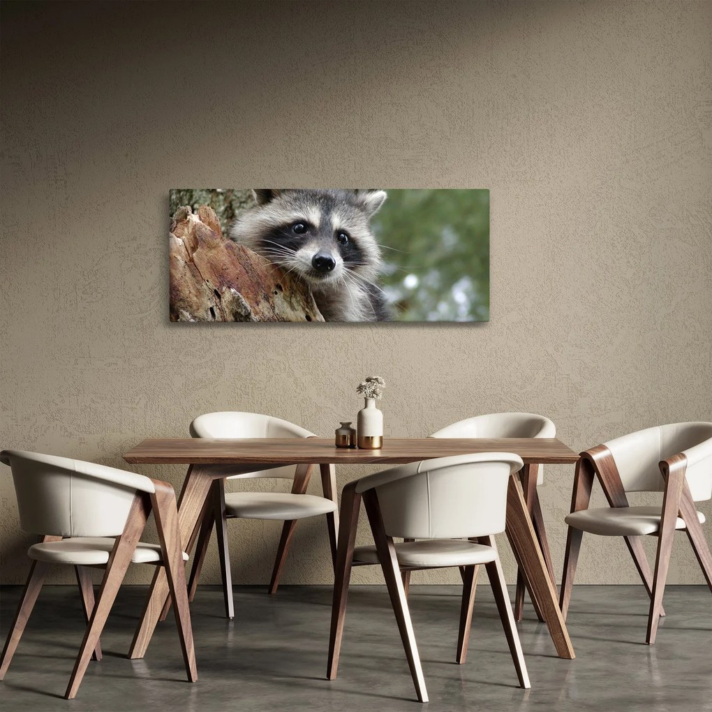 Egy mosómedve képe (120x50 cm)