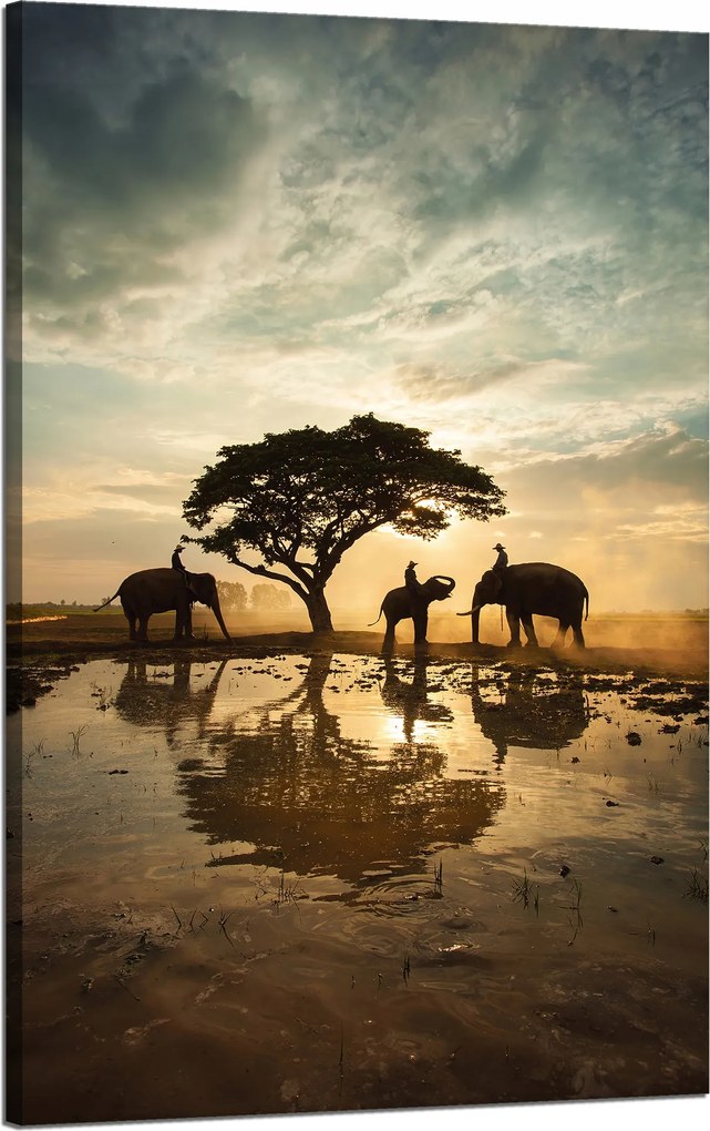 Vászonkép Emberek az elefántokon naplementekor 50x80 cm