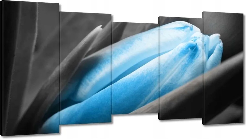 Vászonkép 150x80 Kék szirmok Tulipán