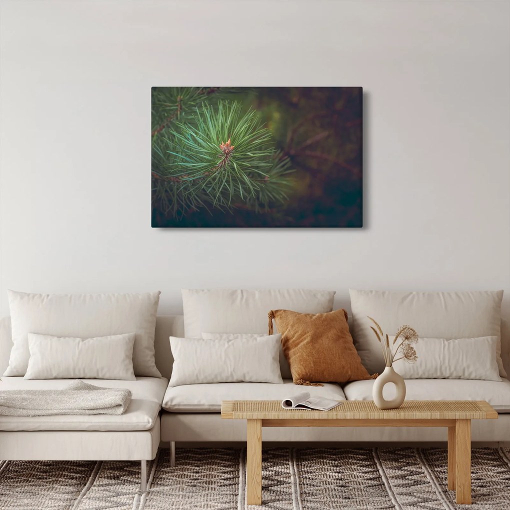 Kép - Fenyőfa részlete (90x60 cm)