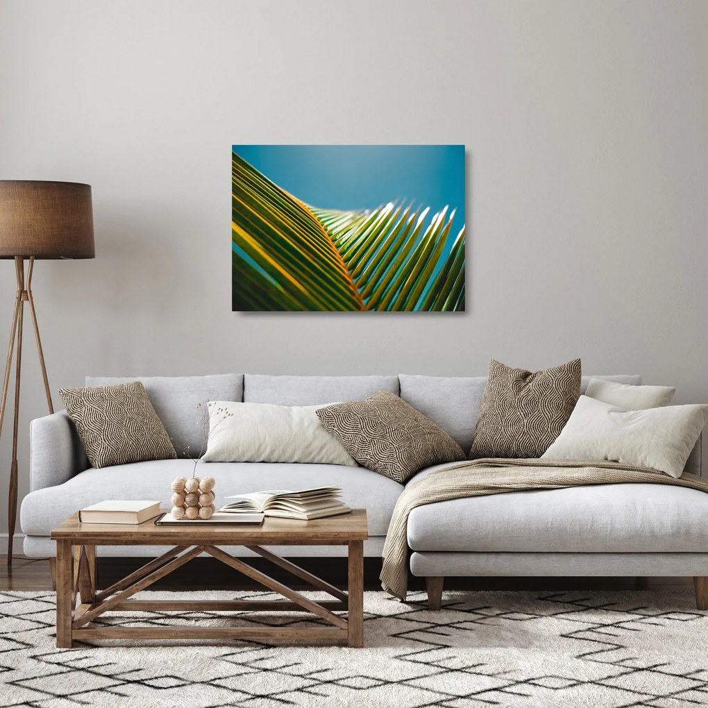 Kép - A pálmalevél részlete (üvegen) (70x50 cm)