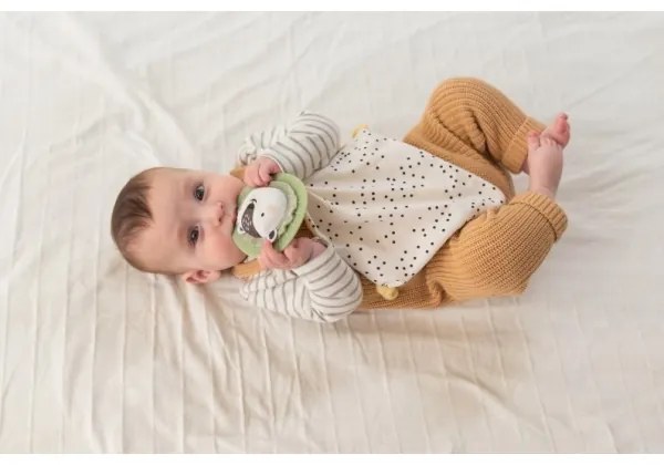 Taf Toys - Ajándékdoboz HELLO BABY