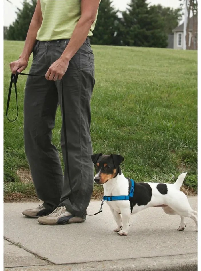 PetSafe Hám EasyWalk Deluxe kék M/L méret