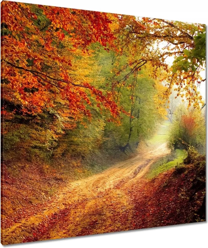Vászonkép 90x90 Út az erdőben ősz