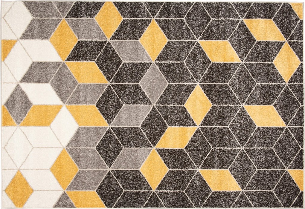 Szőnyeg Fríz 200x300 Divatos Modern Stílusos #47