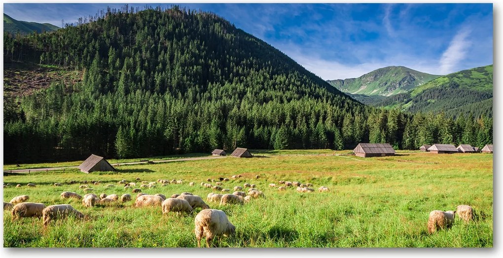 Konyhai panel Bárányok a Tátrában 120x60 cm Ragasztó