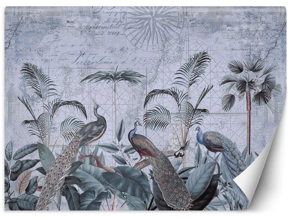 Gario Fotótapéta Pávak a trópusokon - Andrea Haase Anyag: Vlies, Méret: 100 x 70 cm