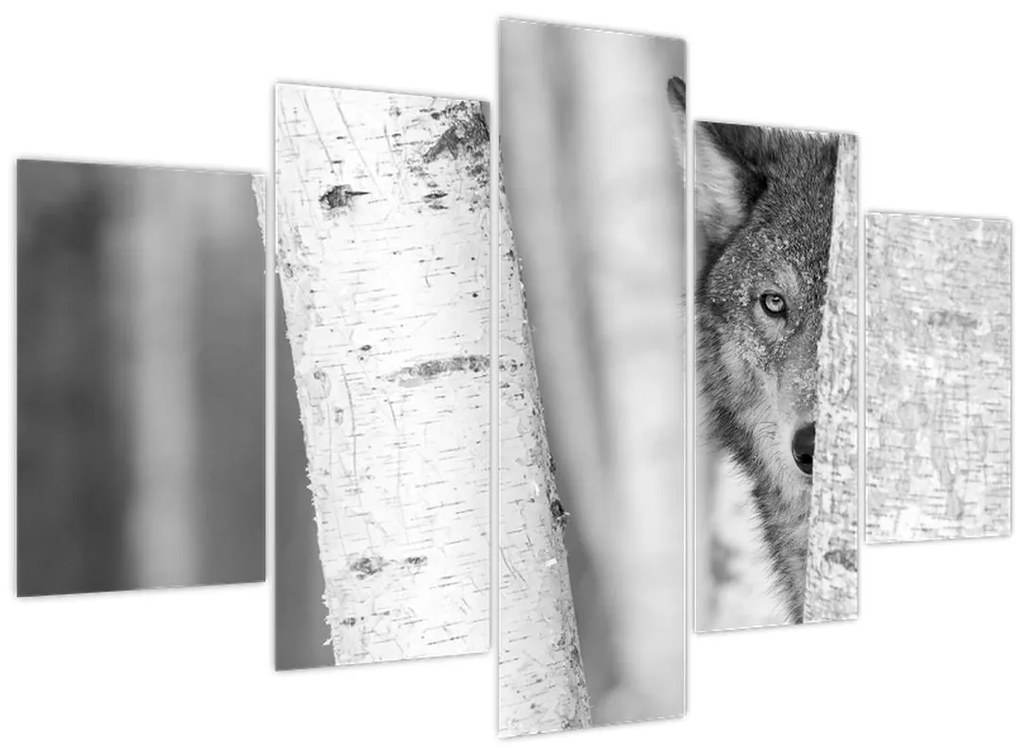 Kép - Farkas az erdőben (150x105 cm)