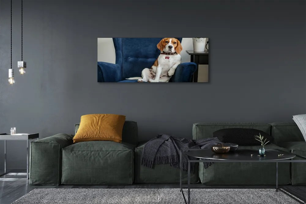 Canvas képek ül kutya 120x60 cm