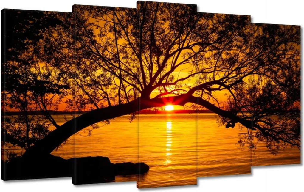 Vászonkép 100x60 Tengerpart Fa Tenger