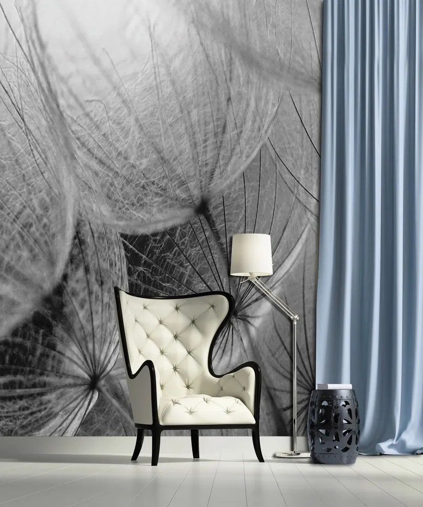 Pitypang poszter, fotótapéta, Vlies (184x254 cm, álló)