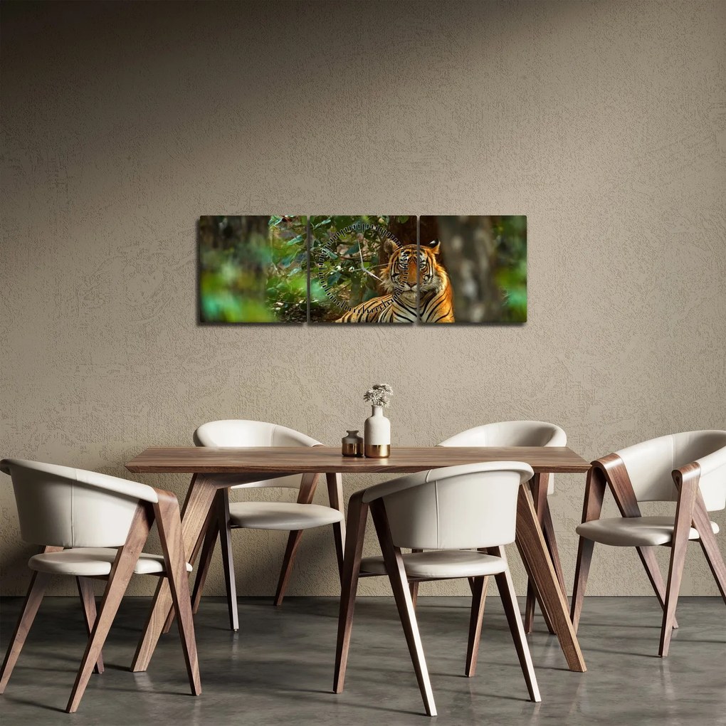 Pihenő tigris képe (órával) (90x30 cm)