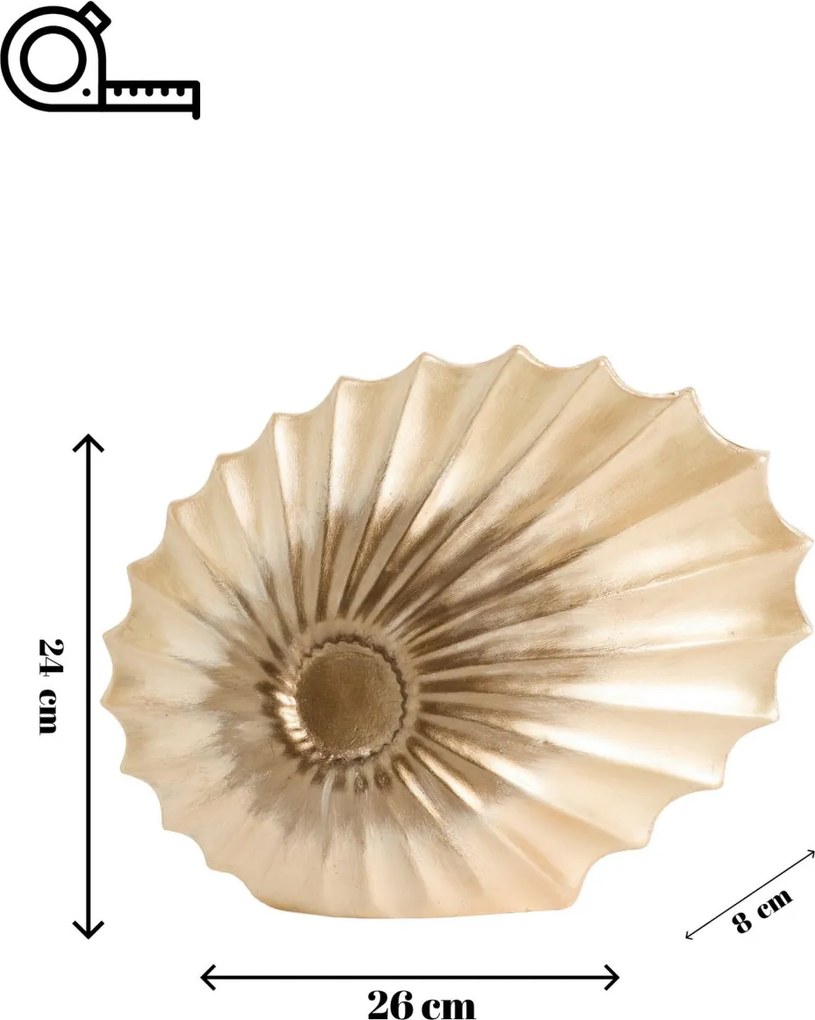 Seashell