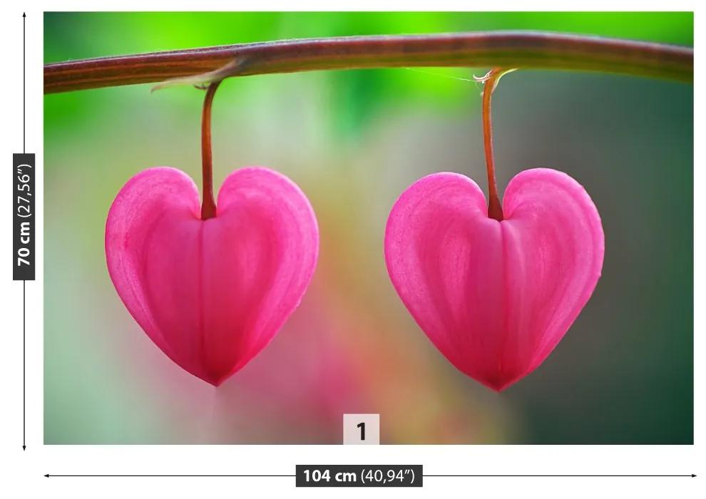 Fotótapéta virág szív 104x70 cm