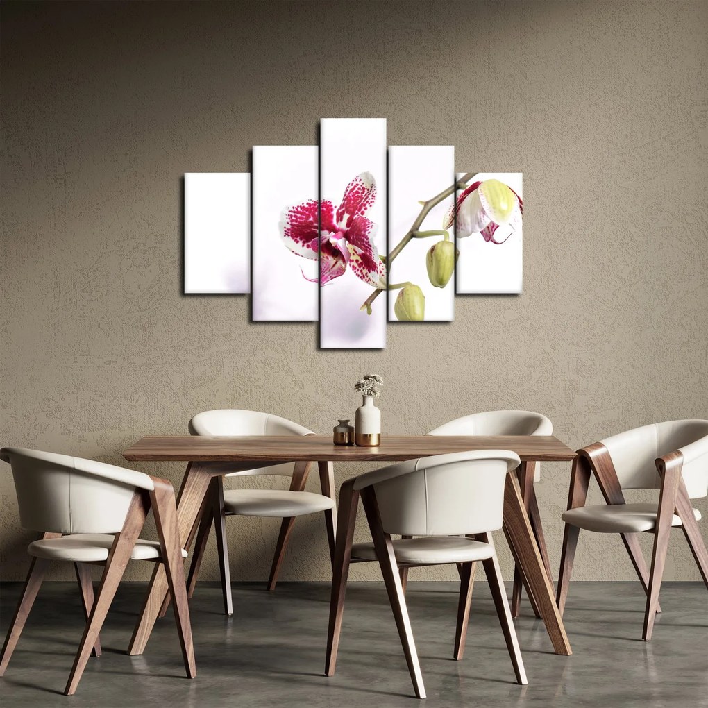 Orchidea virág képe (150x105 cm)