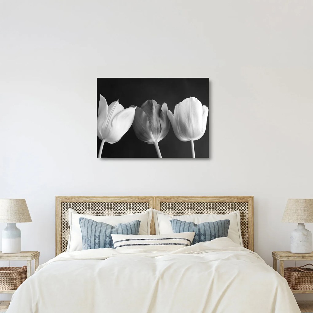 Kép - fekete-fehér tulipán virág (üvegen) (70x50 cm)