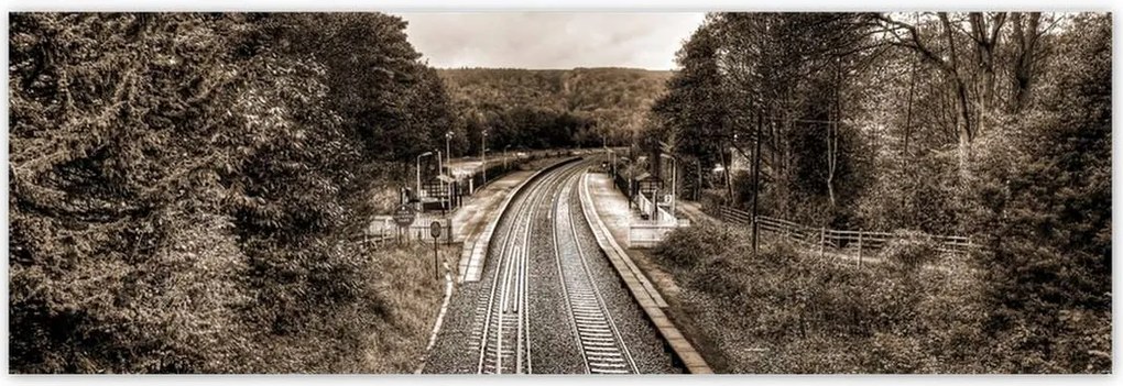 Poszterek 200x66 Tóra szépia fotó