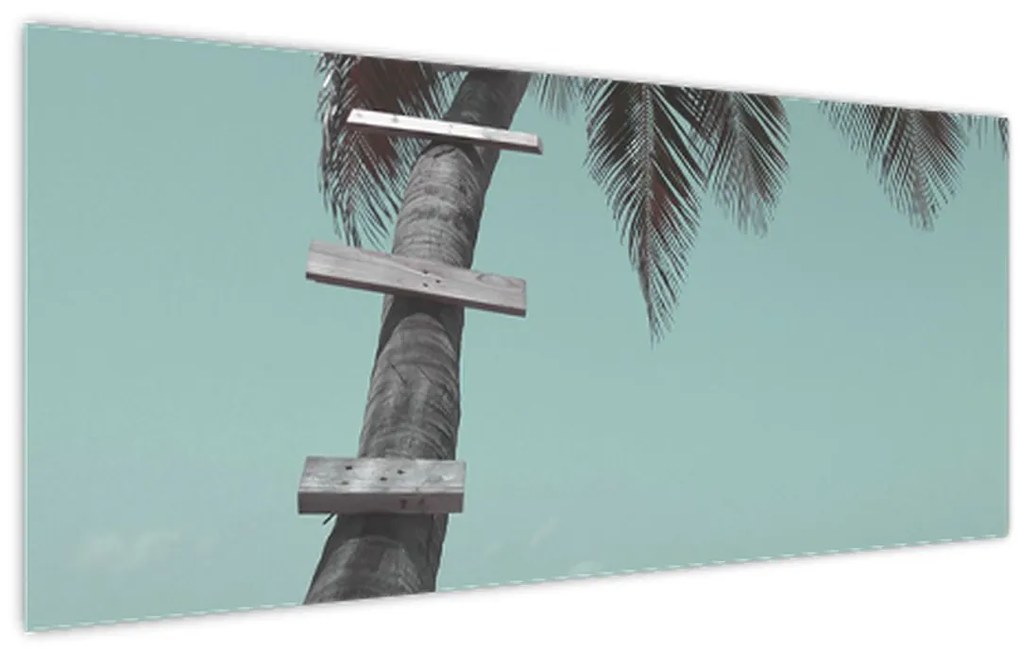 Kép - Palma a Karib-tengeren (120x50 cm)