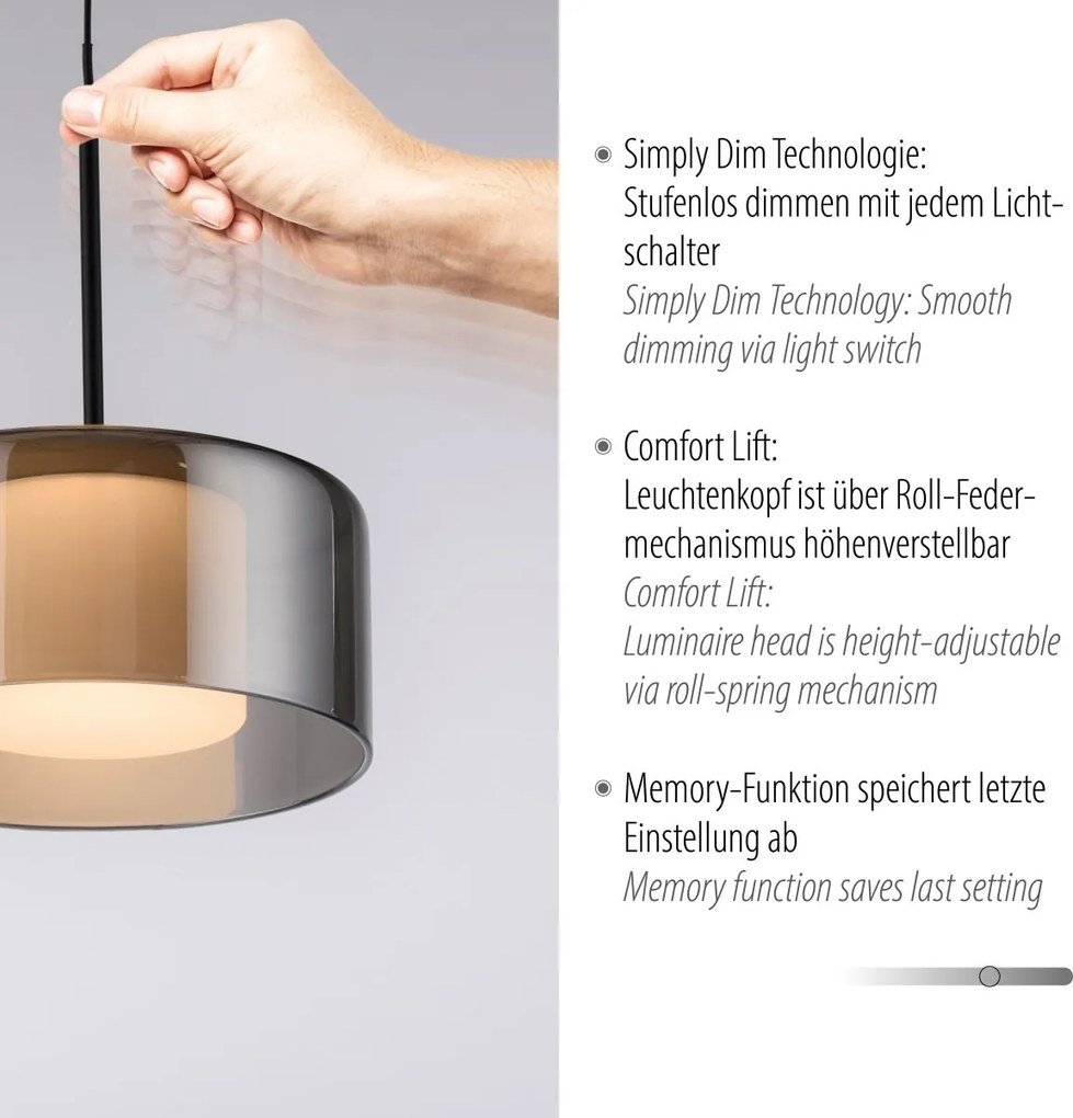 Paul Neuhaus modern függeszték rika fekete füstös pln2112-18