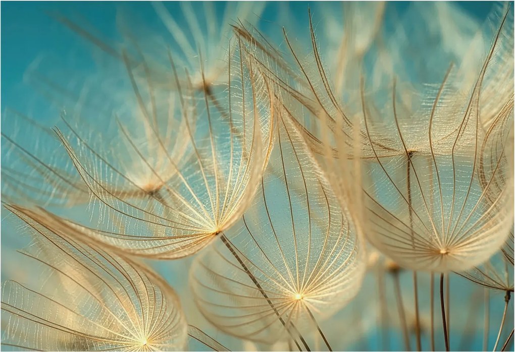 Fotótapéta Fali tapéta Hálószoba Nappali szoba Pitypangok éteri 152x104