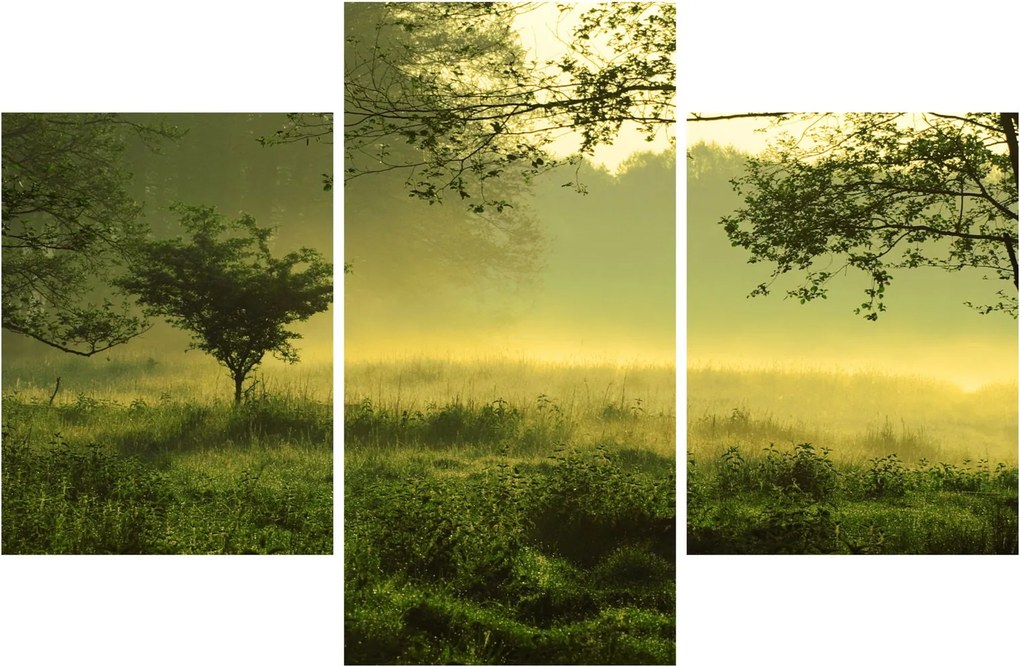 Kép - Ébredő erdő (90x60 cm)