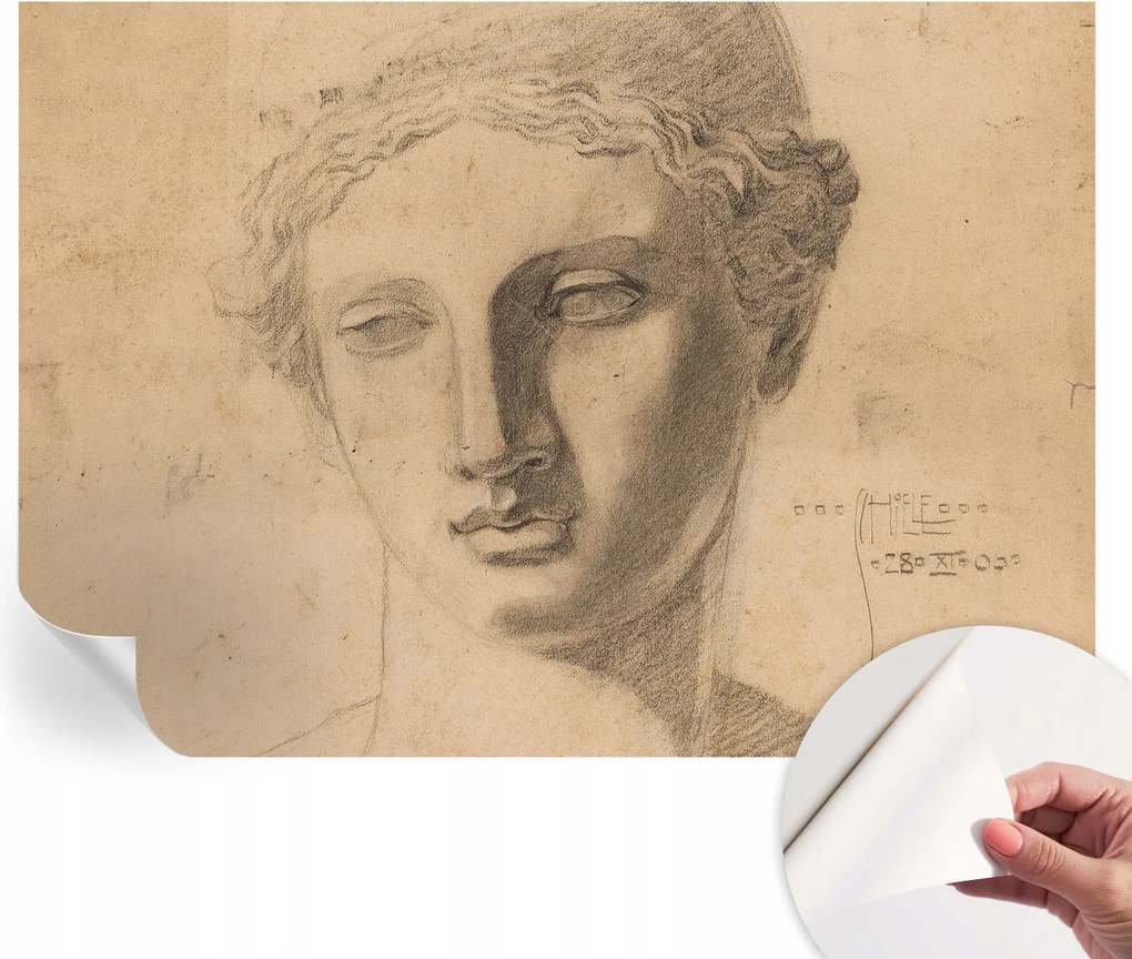 Öntapadós Dekoratív Fotótapéta Hálószobába Női portré 312x219 cm