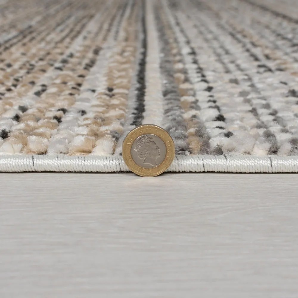 Bézs szőnyeg 200x300 cm Camino – Flair Rugs