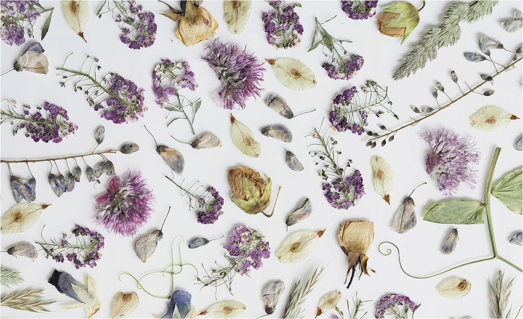 Flizelina Dekoratív Fotótapéta Hálószobába Szárított virágok 416x254 Ragasztó