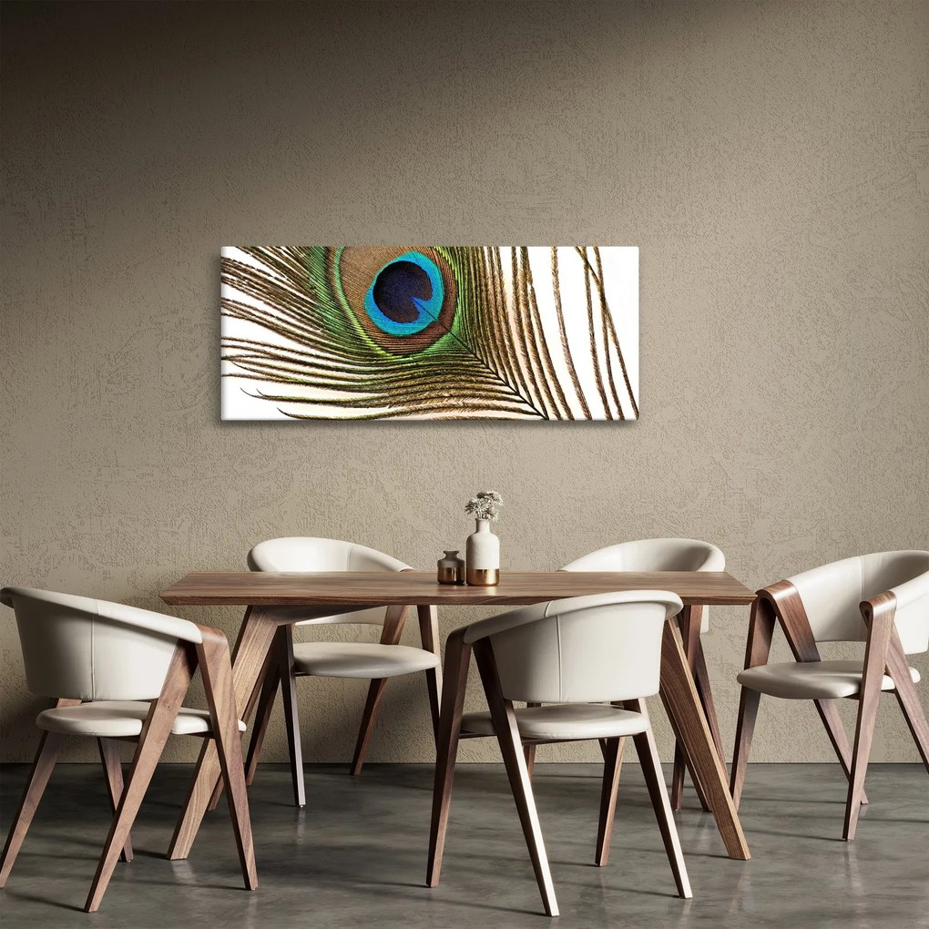 Pávatoll képe (120x50 cm)